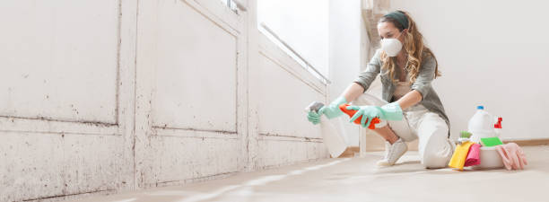 Why You Should Choose Our Mold Remediation Services in Huntington Station, NY